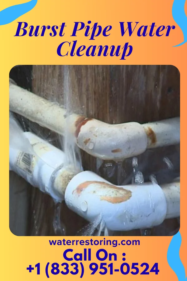 Burst Pipe Water Cleanup in Eden, NC