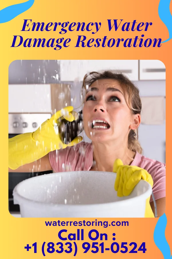 Emergency Water Damage Restoration in Eden, NC