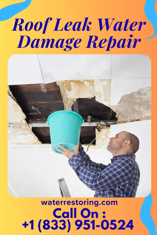 Roof Leak Water Damage Repair in Eden, NC