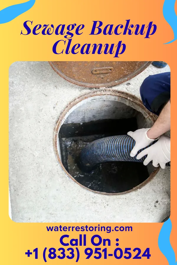 Sewage Backup Cleanup in Eden, NC