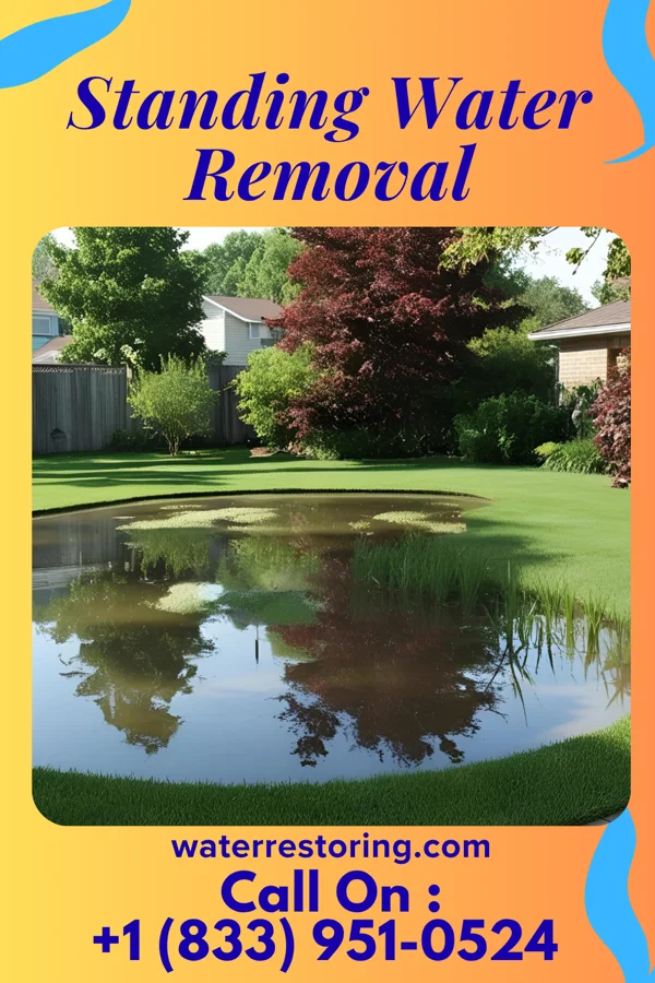 Standing Water Removal in Eden, NC